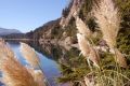 Lago Moreno - San Carlos de Bariloche