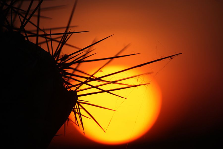 "Pinchando el sol" de Alberto Jara