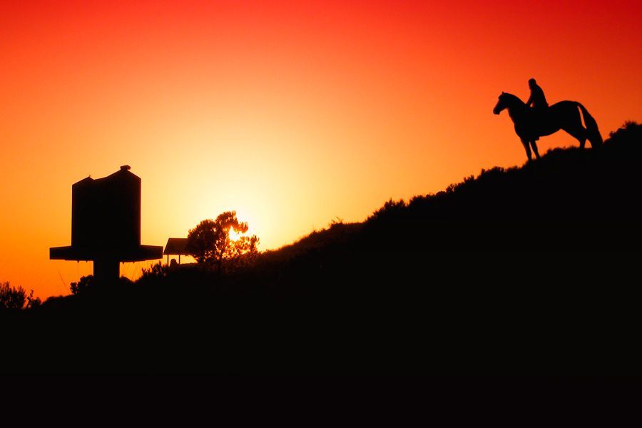 "Atardecer" de Francisco Jos Cerd Ortiz