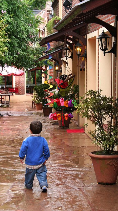 "Despues de la lluvia." de Mario Tizn