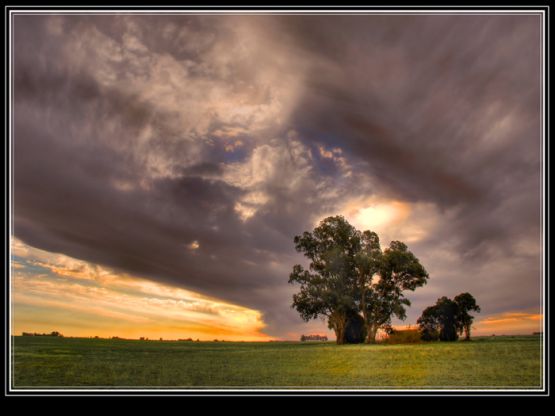 "Tarde en el campo" de Cristian Moriigo