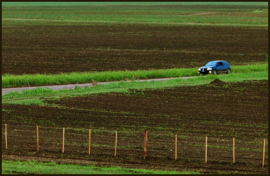 "Una tarde un auto......" de Ruben Perea