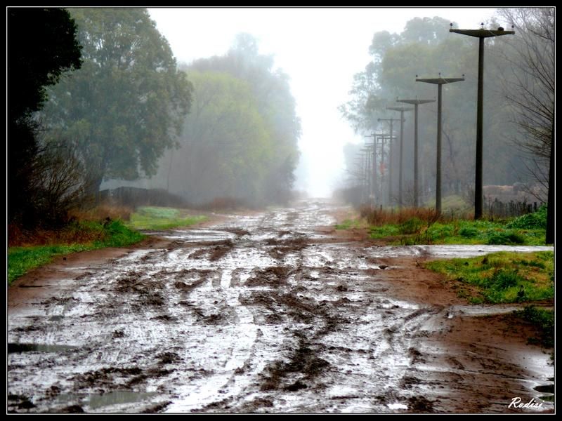 "Lluvia..." de Roberto Di Siervi