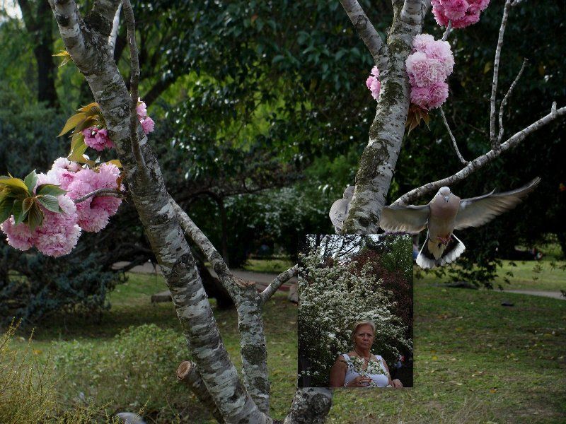 "primavera" de Amparo Josefina Maggi