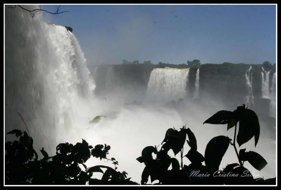 "Cataratas del Iguaz 2" de Maria Cristina Silva