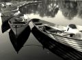 canoas en el bosque