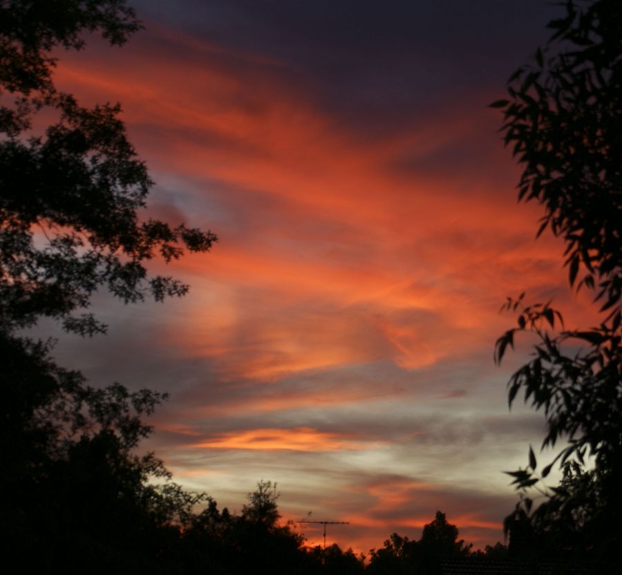 "atardecer del 6 de Noviembre" de Ricardo Alfredo Borthwick