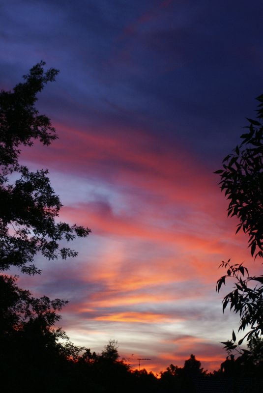 "atardecer del 6 de Noviembre-II" de Ricardo Alfredo Borthwick