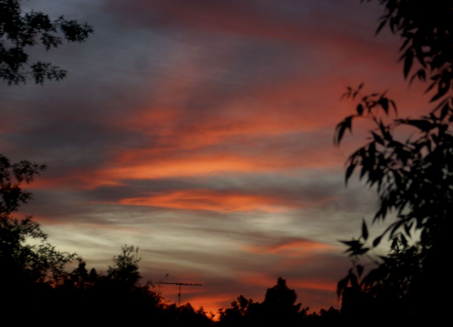 "atardecer del 6 de Noviembre-III" de Ricardo Alfredo Borthwick