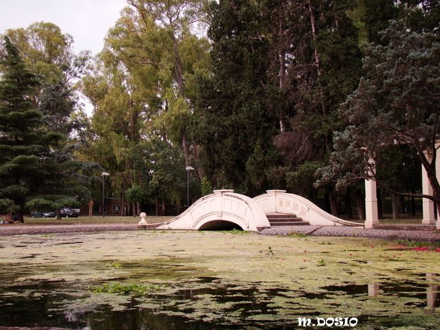 "el puente" de Miguel Angel Dosio