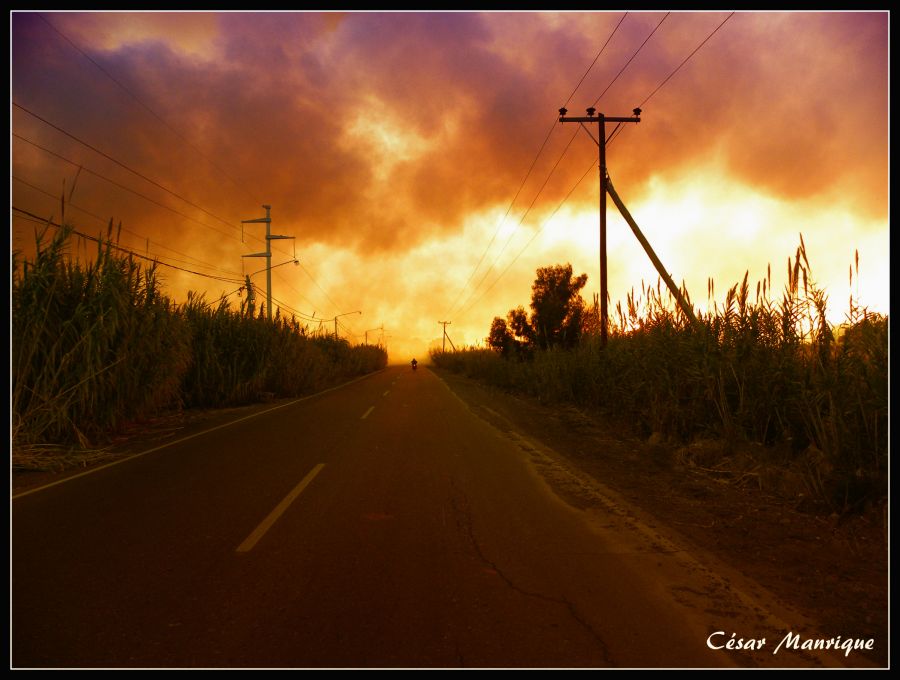 "Camino al Infierno" de Csar Manrique