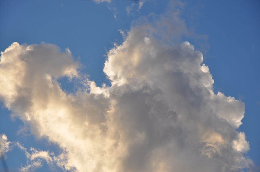 "`ENTRE EL CIELO Y LA TIERRA`" de Jose Alberto Vicente