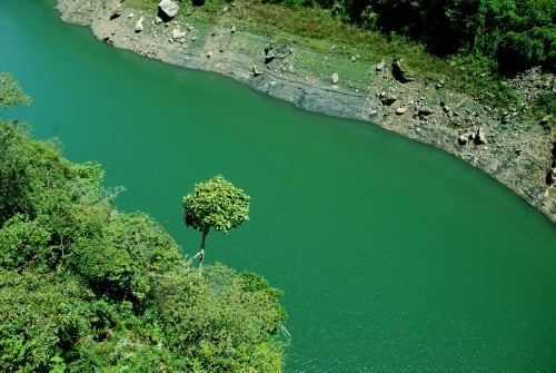 "Verde Sobre Verde" de Esmeralda Cita