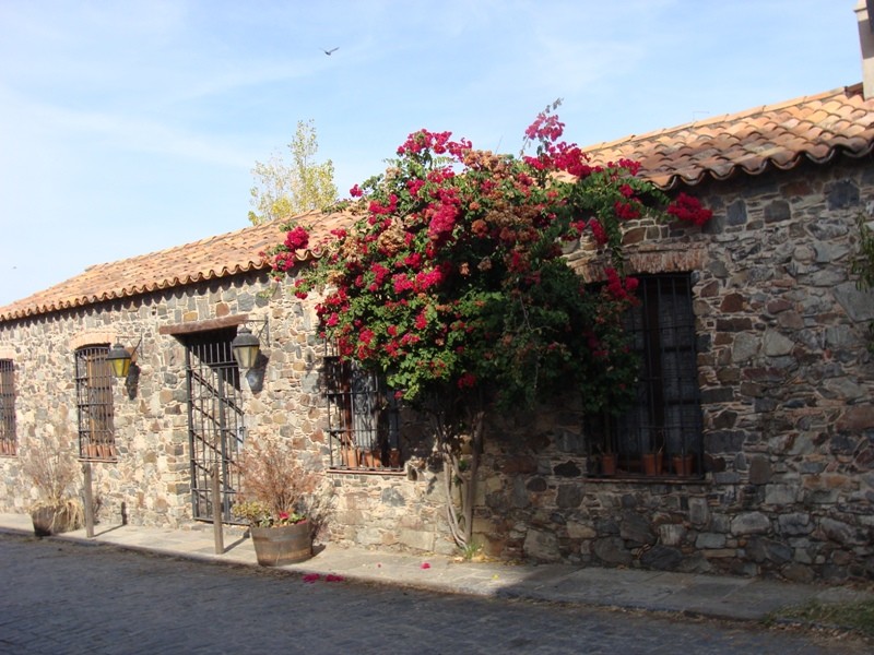 "calle de colonia" de Amparo Josefina Maggi