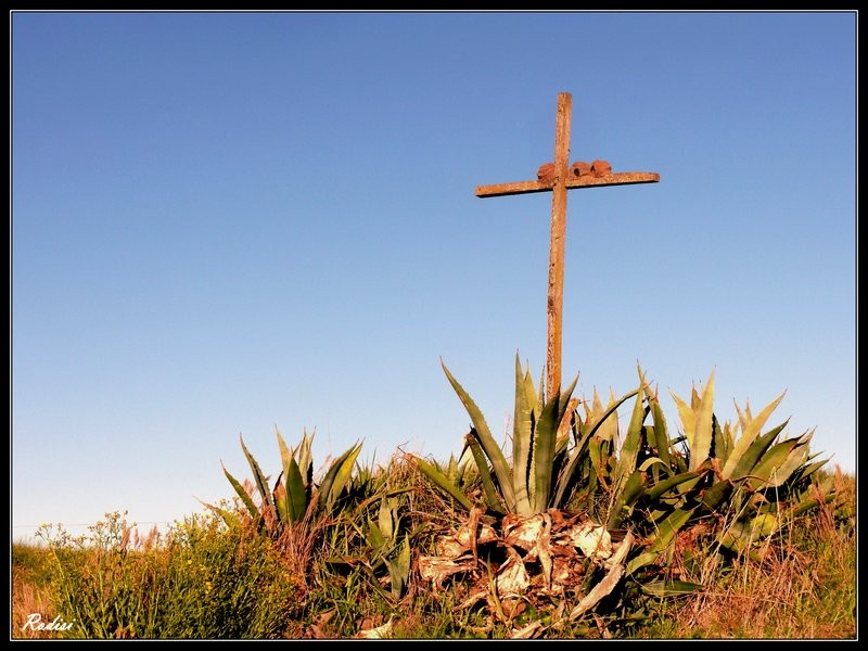 "La cruz del perdn..." de Roberto Di Siervi