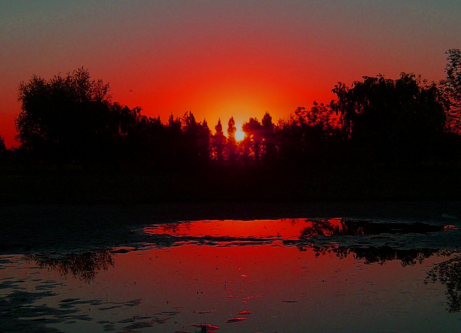 "Puesta de sol" de Julia Tedesco