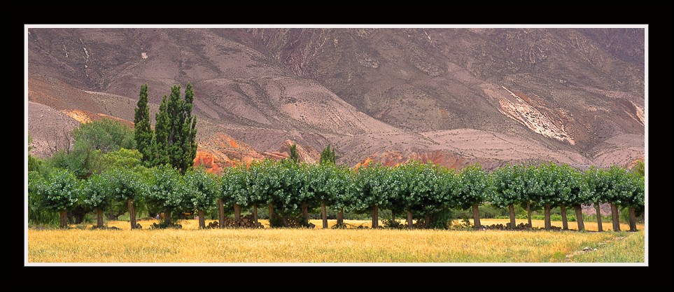 "De Jujuy" de Ivn Aybar