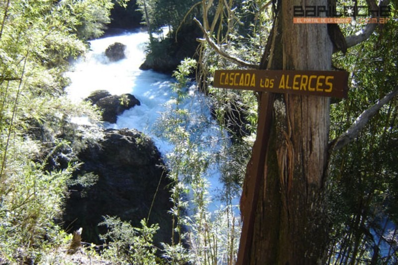 "cascada de los alerces" de Amparo Josefina Maggi