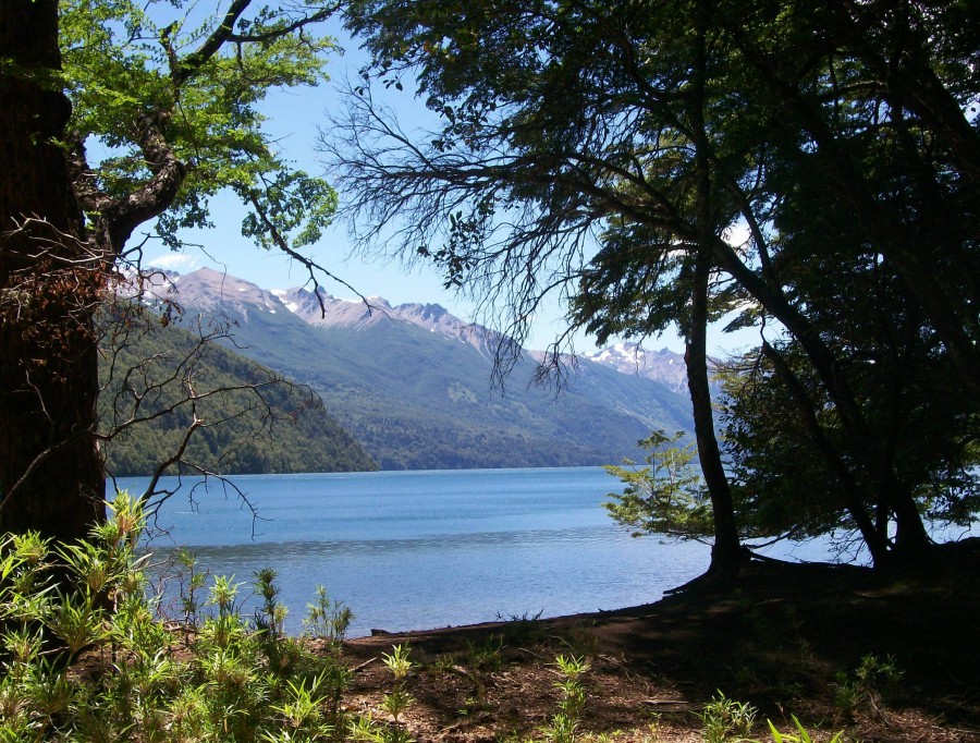 "Encanto y Tranquilidad" de Griselda Ferrero