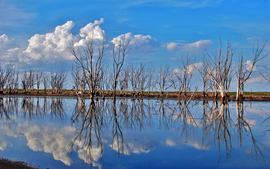 "Bajo el mismo cielo" de Facu Corol