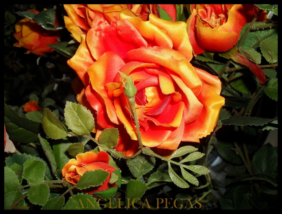 "FLORES .." de Anglica Pegas