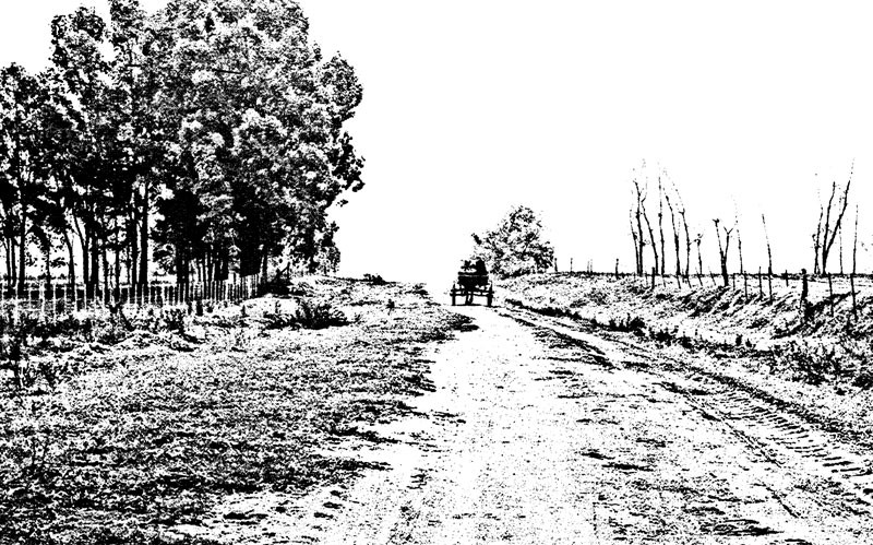 "Volviendo al rancho" de Felipe Martnez Prez