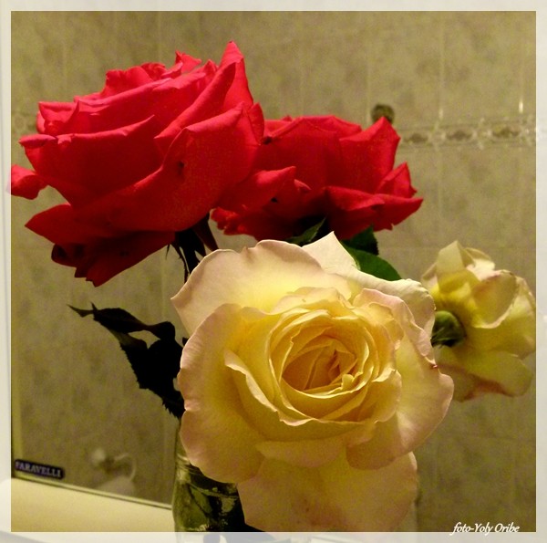 "Te llegar una rosa!!!" de Yolanda Isabel Oribe