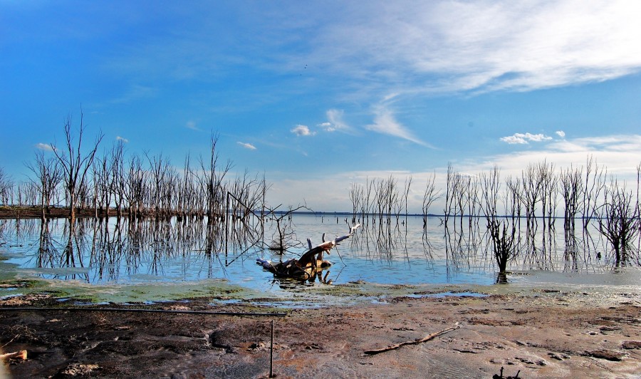 "Vamos al agua" de Facu Corol