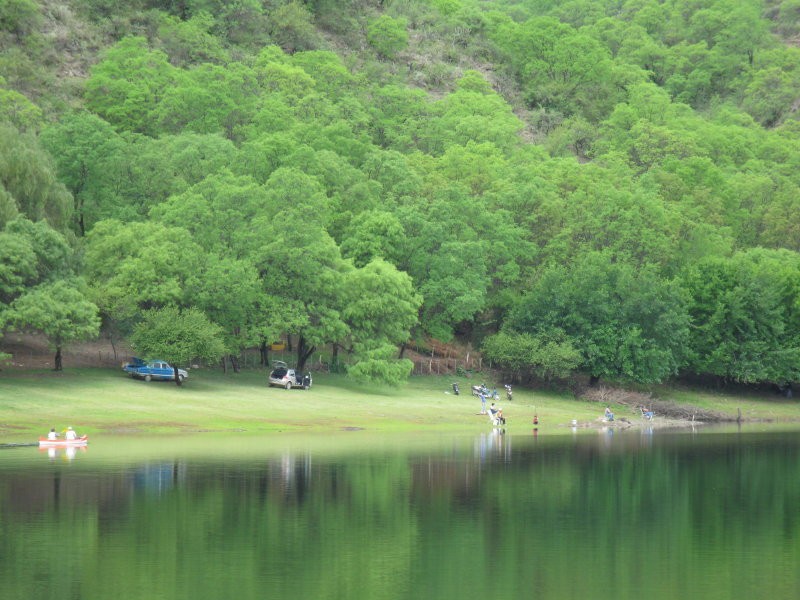 "reflejos" de Eduardo Dutto