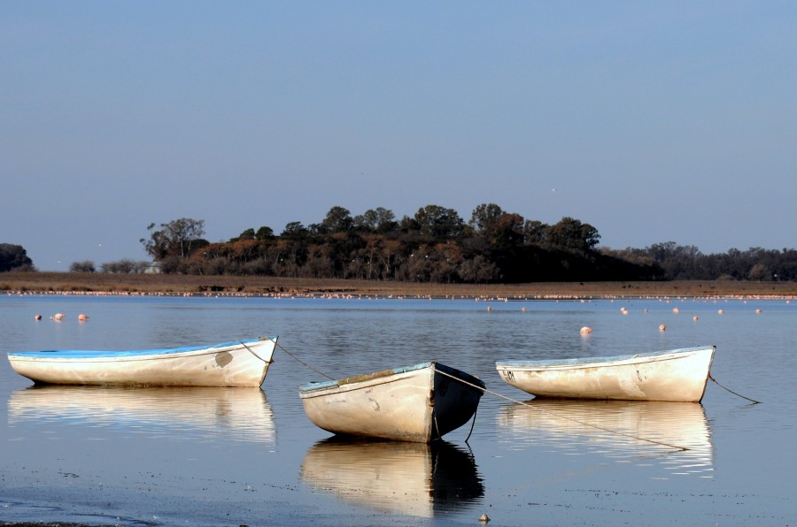 "tres botes" de Edith Polverini