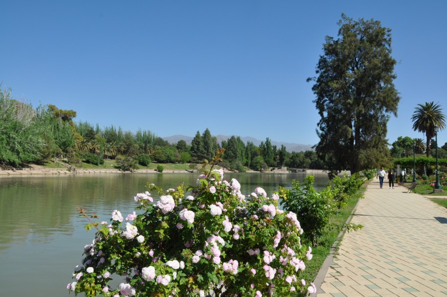 "LAGO DEL PARQUE GRAL. SAN MARTIN" de Jose Alberto Vicente