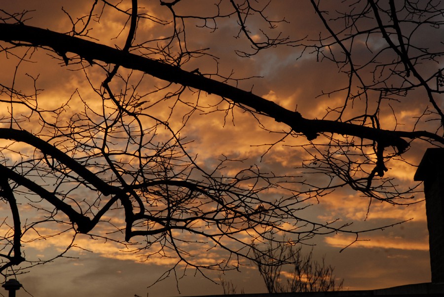 "atardecer" de Basilio Pablo Pawlowicz