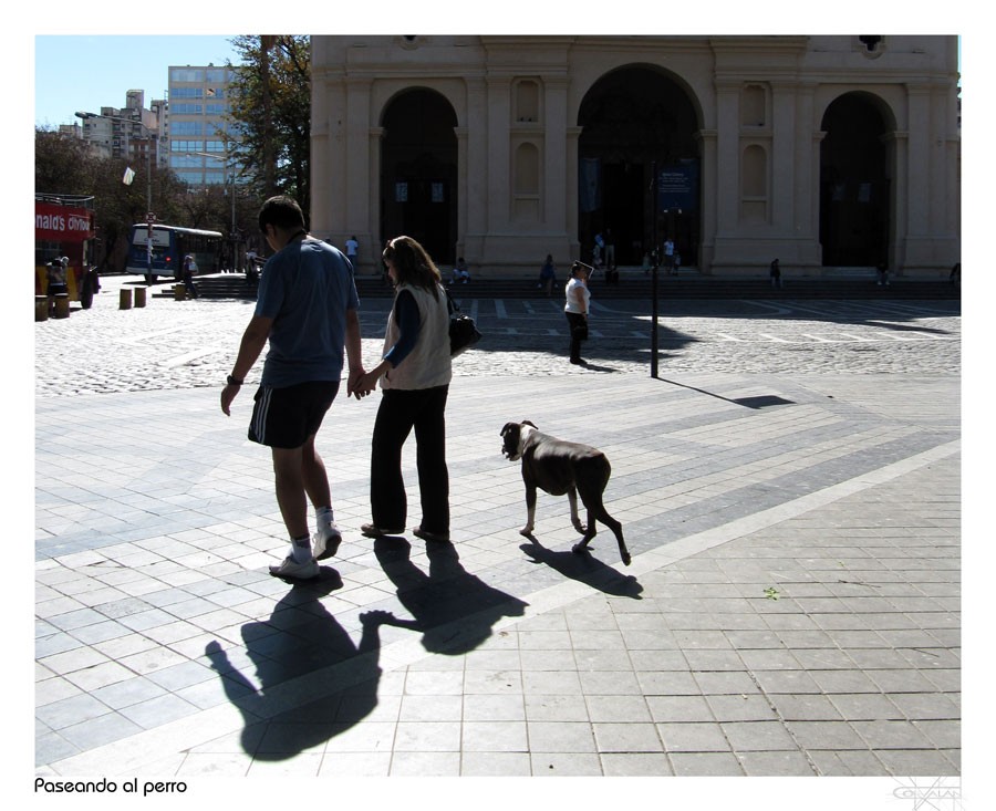 "Caminando al sol" de Silvia Corvaln