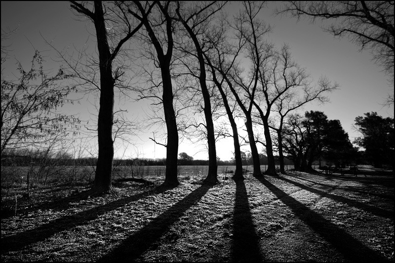 "Sombras, nada ms..." de Walter Belfiore