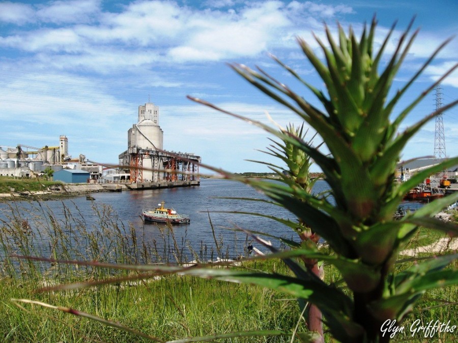 "Puerto Quequn" de Glyn Griffiths