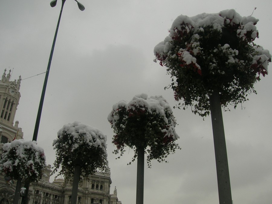 "Copos de nieve" de Jenny Vallarino