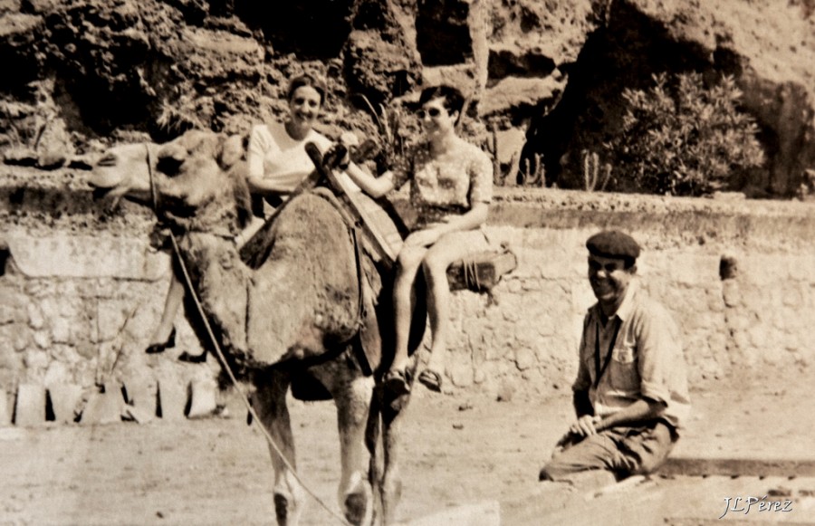 "mi abuelo... el camellero" de Juan Luis Prez Garca