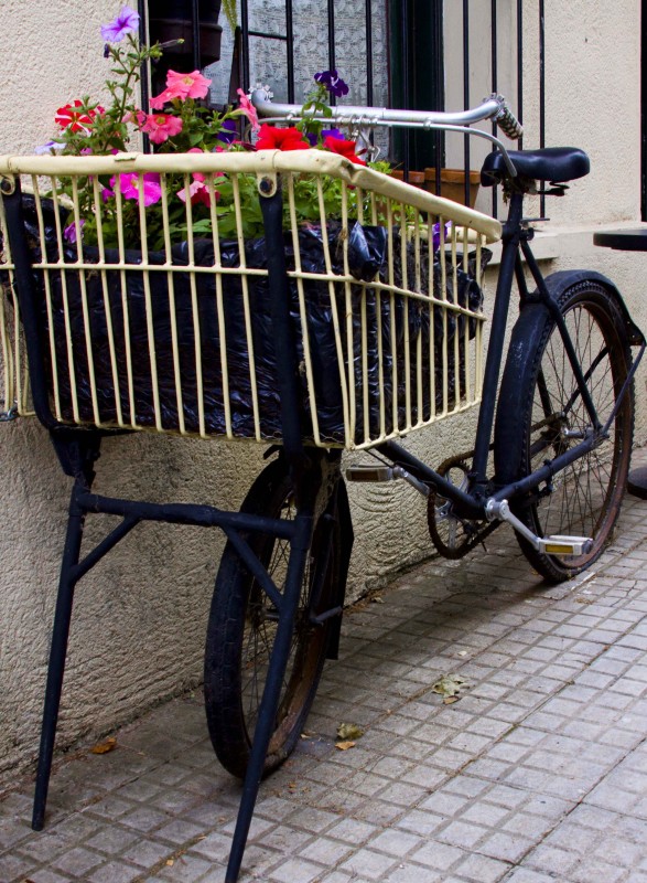 "Bici macetero" de Jos Ignacio Barrionuevo