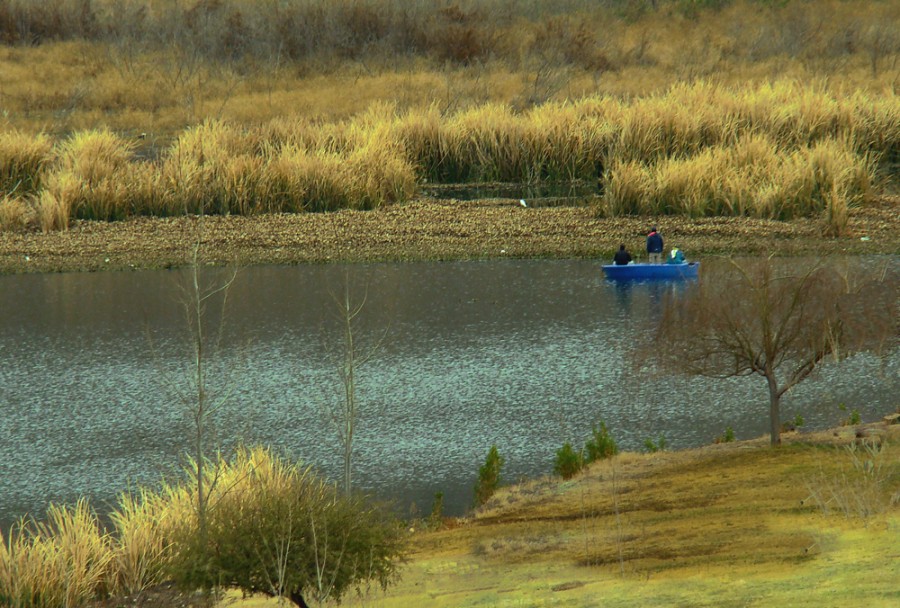 "Una apacible tarde de pesca" de Ruben Perea