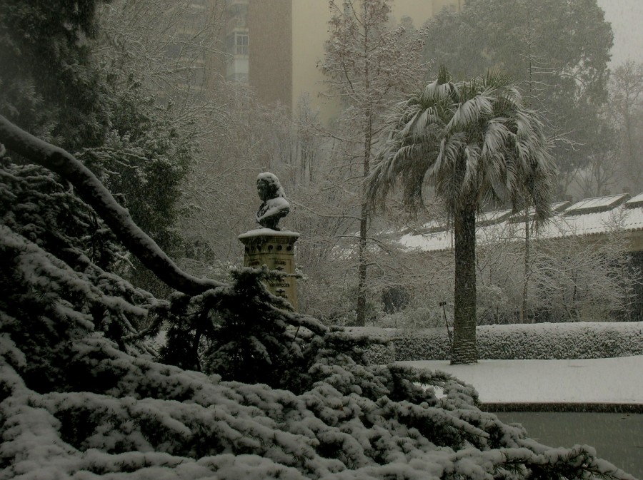 "Que frioooo ...." de Jenny Vallarino