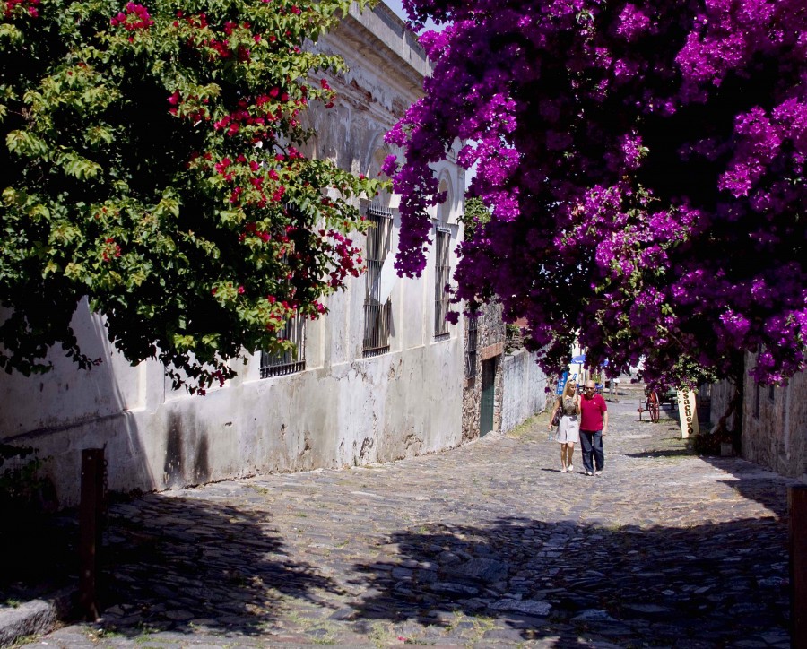 "Callecita de Colonia" de Jos Ignacio Barrionuevo