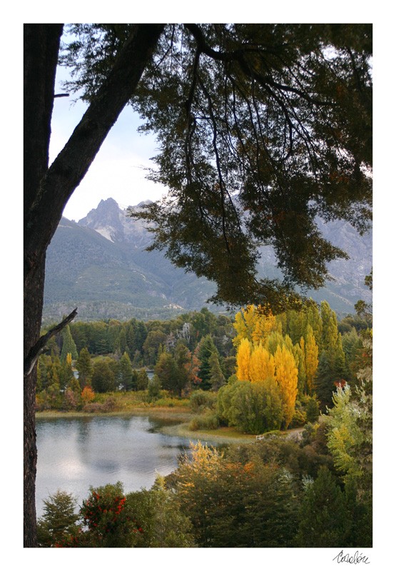 "Lago Moreno - Bariloche" de Silvia Corvaln