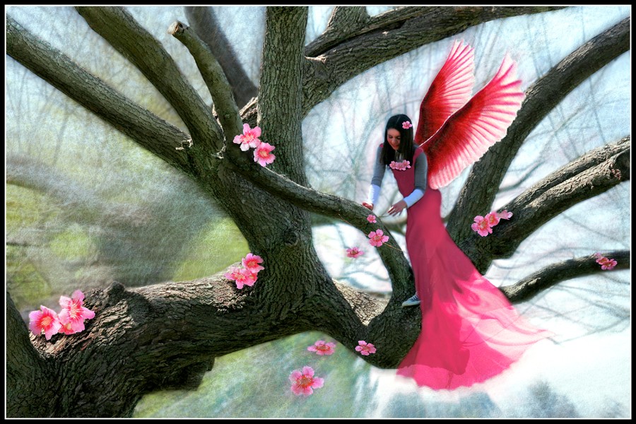 "Angel de las flores" de Eli - Elisabet Ferrari