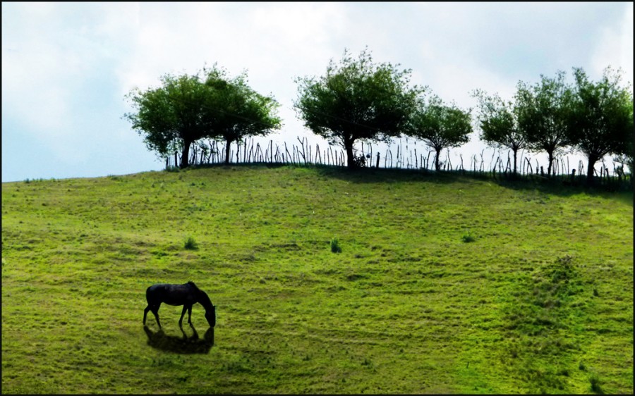 "Paisaje en verde" de Ruben Perea