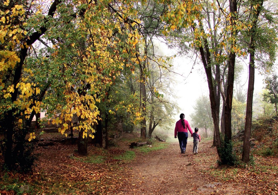 "Paseo de otoo" de Mabel Ana Solvas