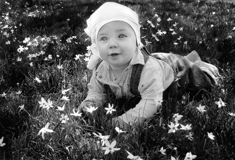 "Un rayito entre flores" de Mabel Ana Solvas