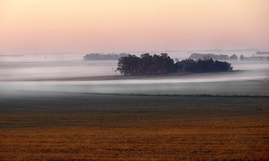 "Niebla en el campo" de Mabel Ana Solvas