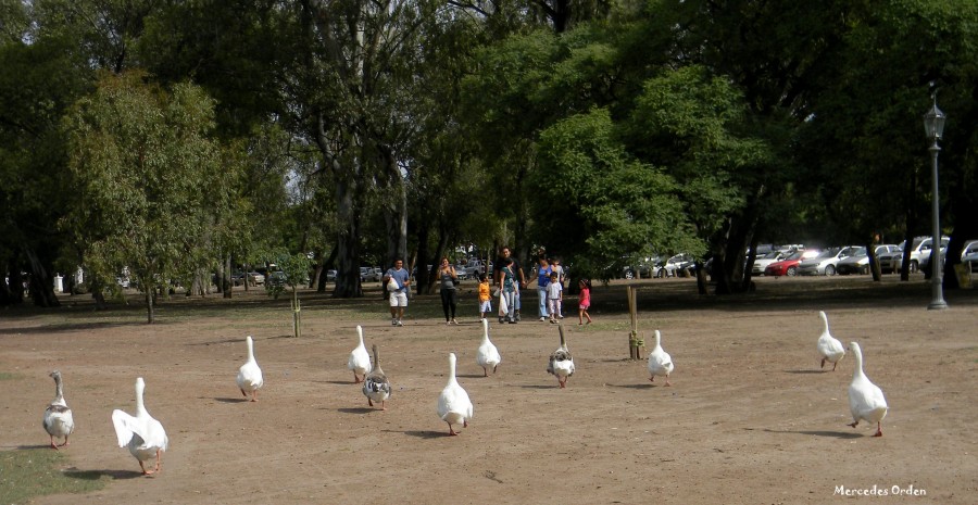 "visitas y traen comida!!!" de Mercedes Orden