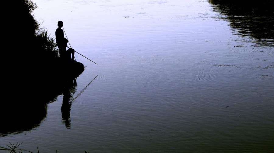 "Pesca" de Stella Armandi