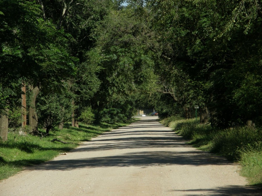 "Camino al Cementerio" de Ana Julia Chevez De Centioni